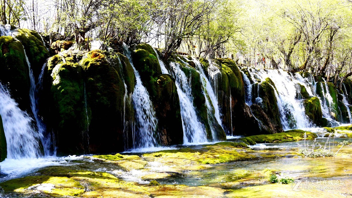 春光明媚九寨沟