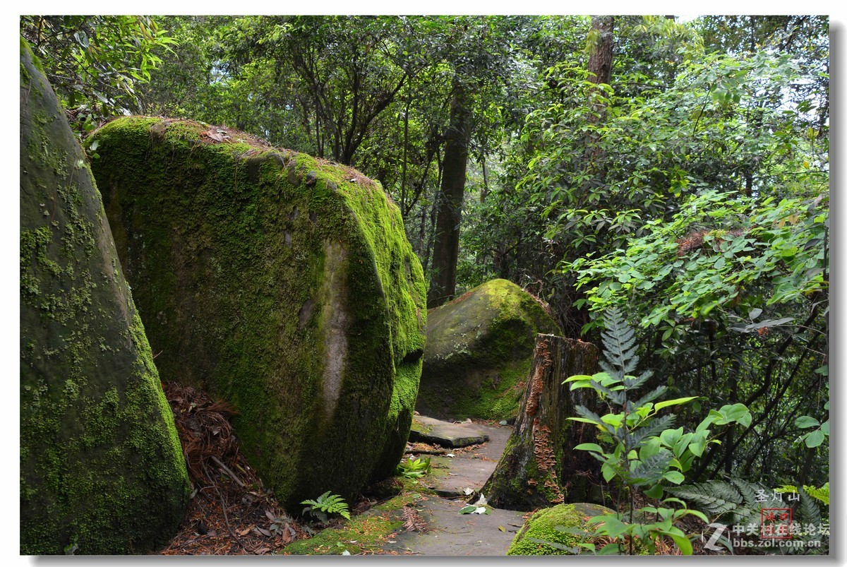 圣灯山森林公园