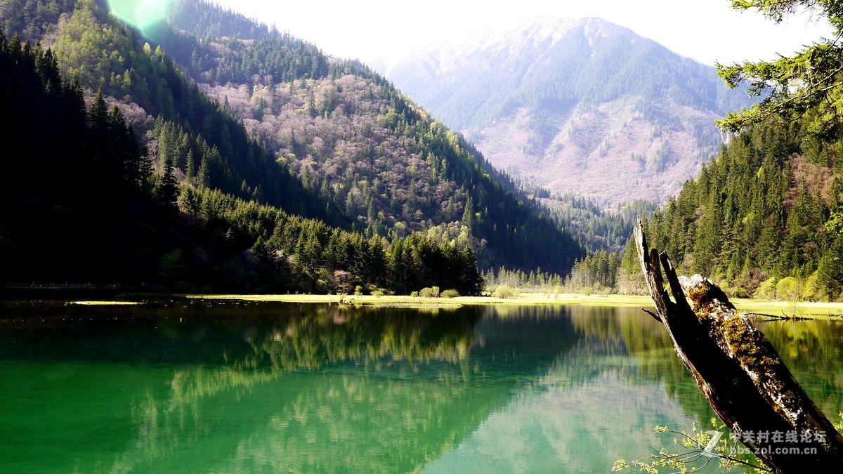 春光明媚九寨沟