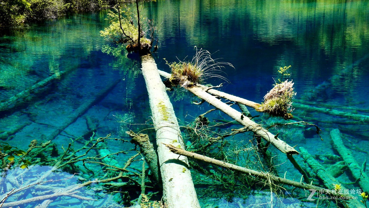 春光明媚九寨沟