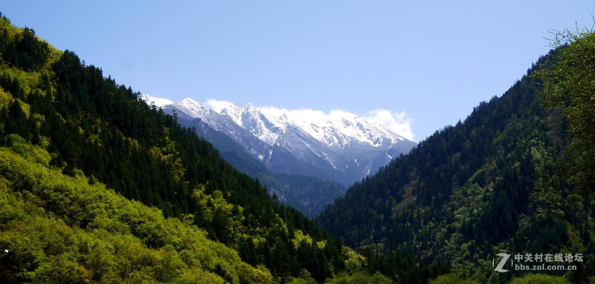 春光明媚九寨沟