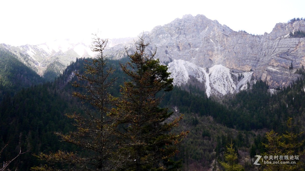 春光明媚九寨沟