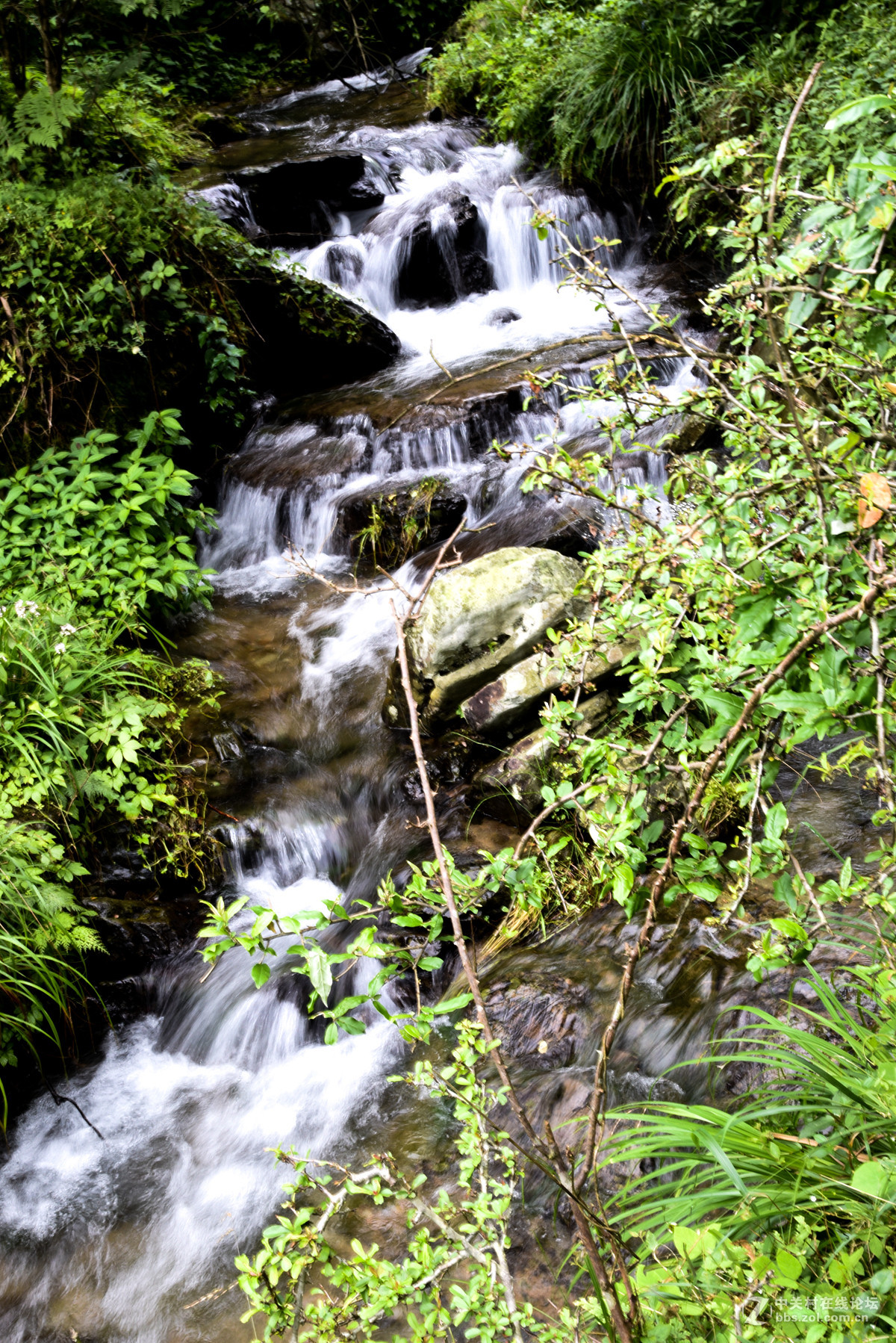 D750…山间小拍