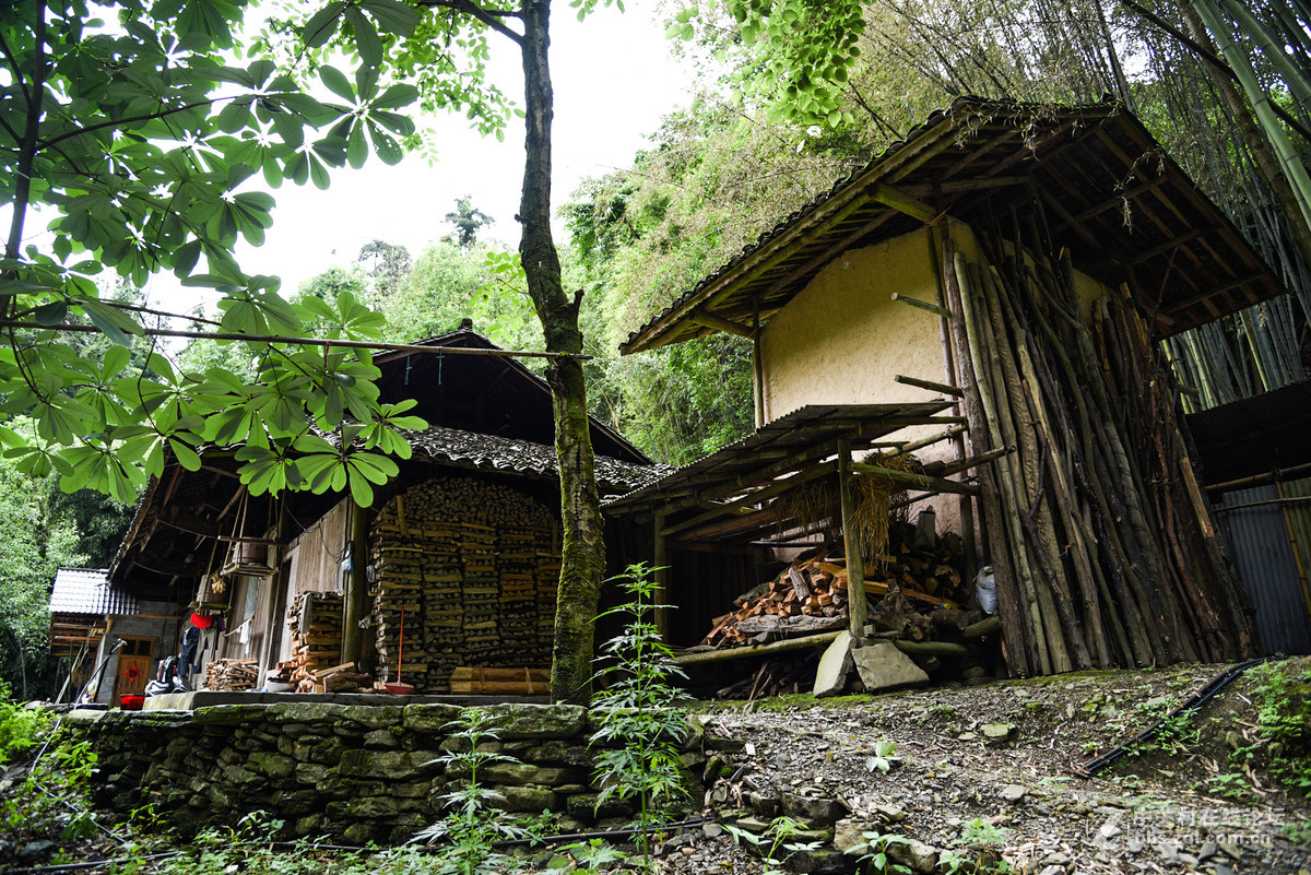 D750…山间小拍