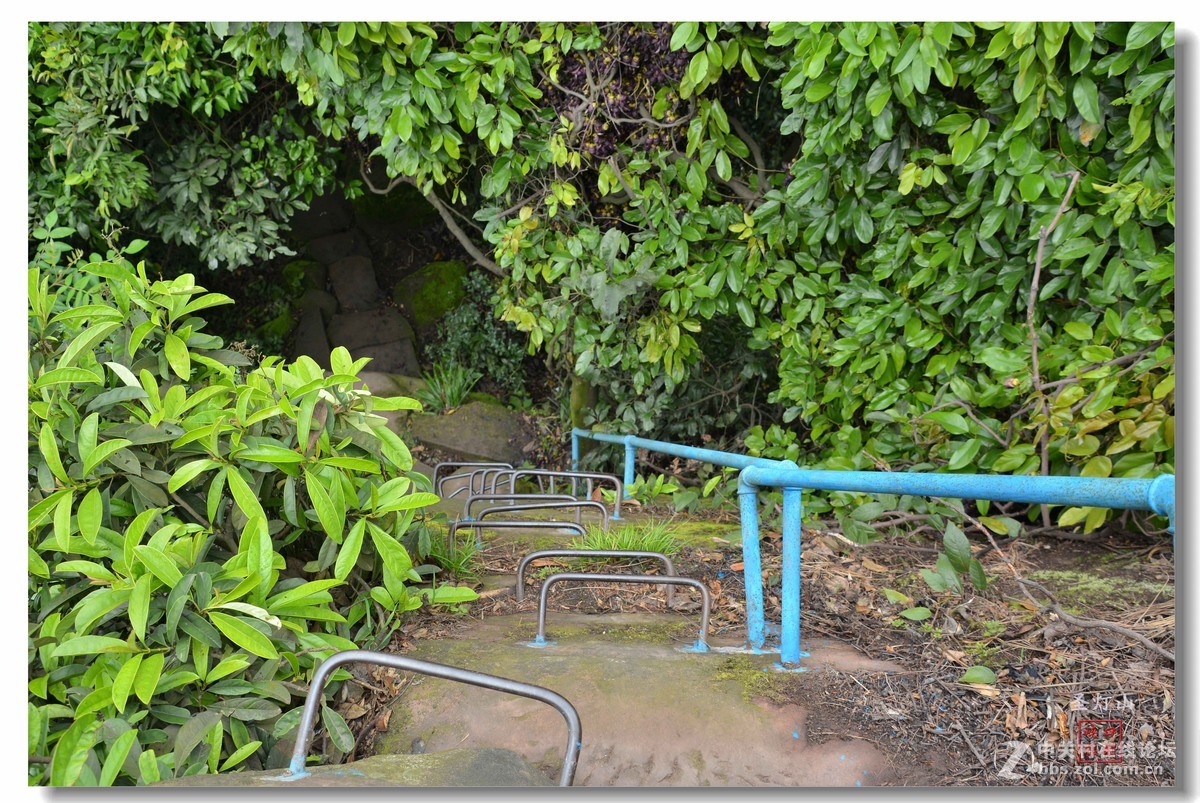 圣灯山森林公园