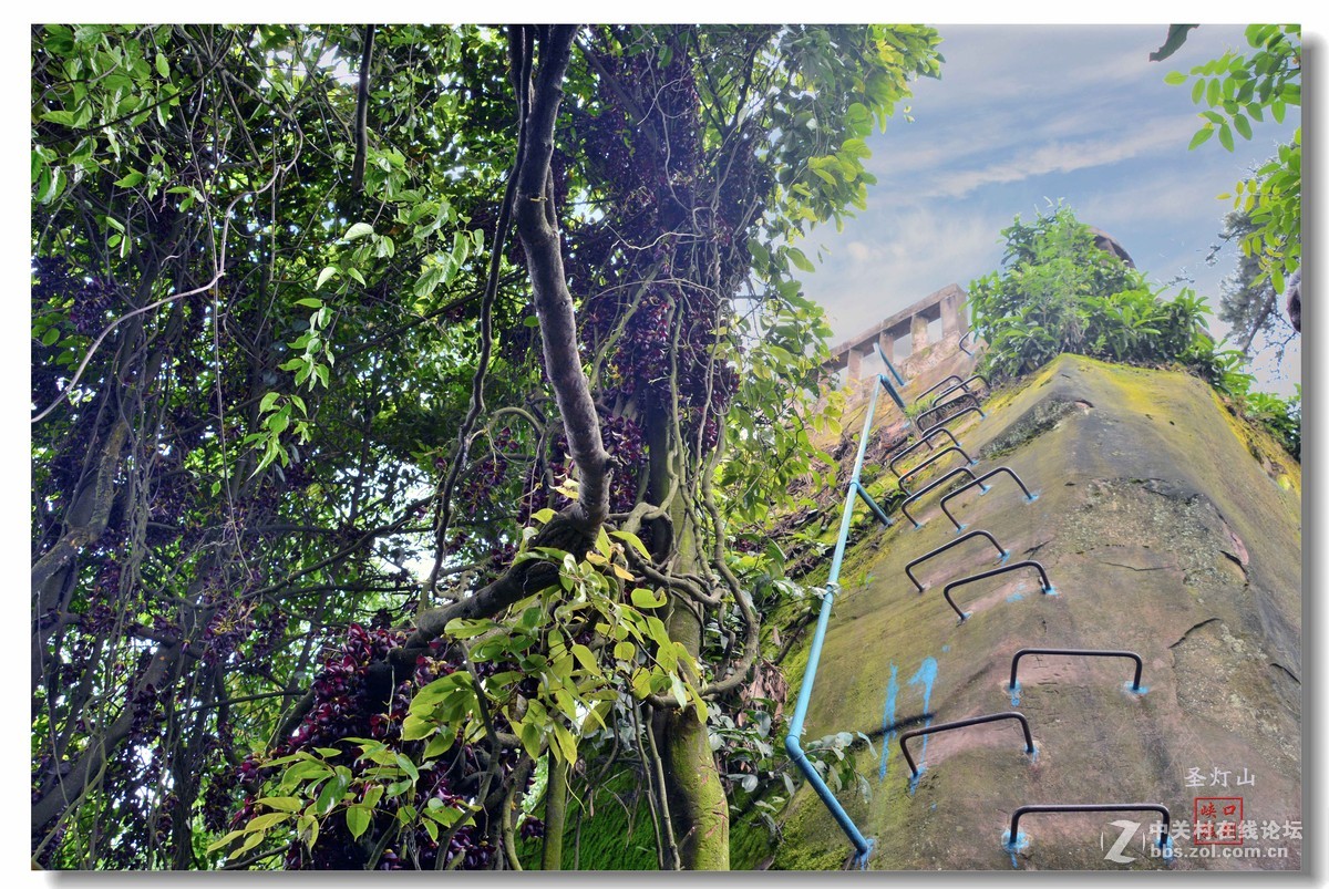 圣灯山森林公园