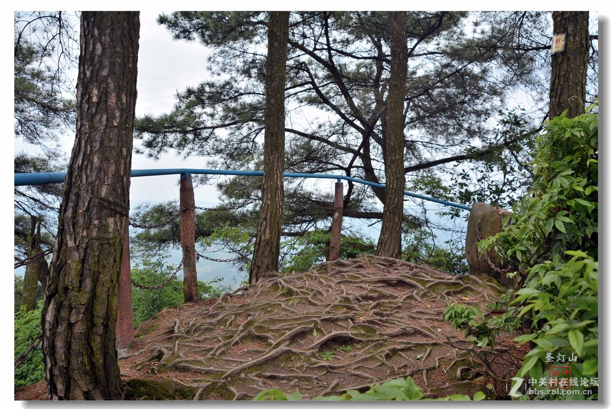 圣灯山森林公园