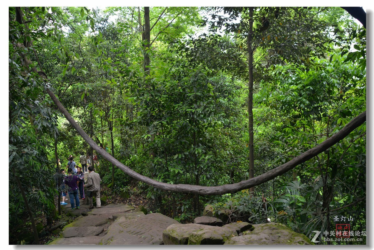 圣灯山森林公园