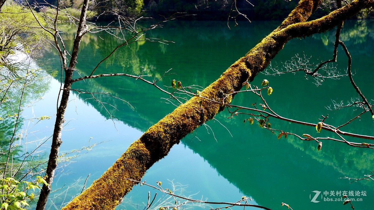 春光明媚九寨沟