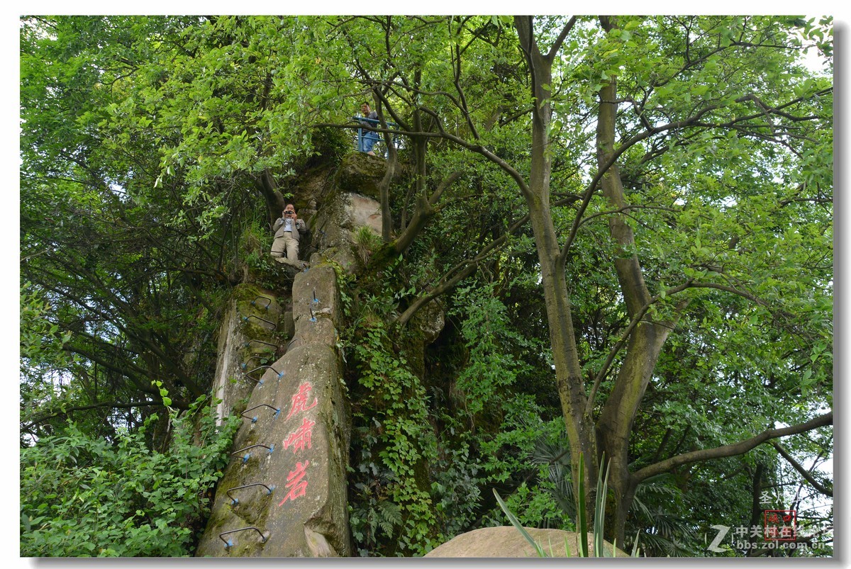 圣灯山森林公园