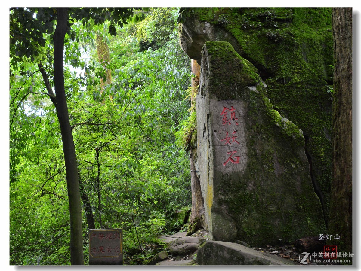 圣灯山森林公园