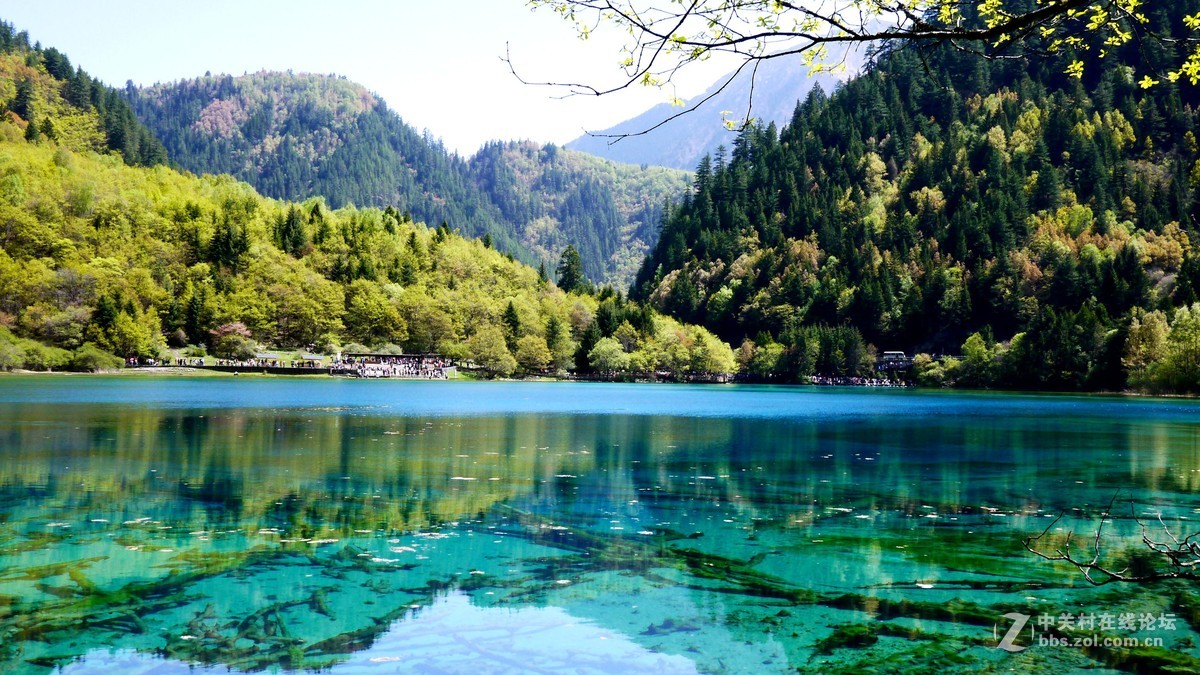 春光明媚九寨沟
