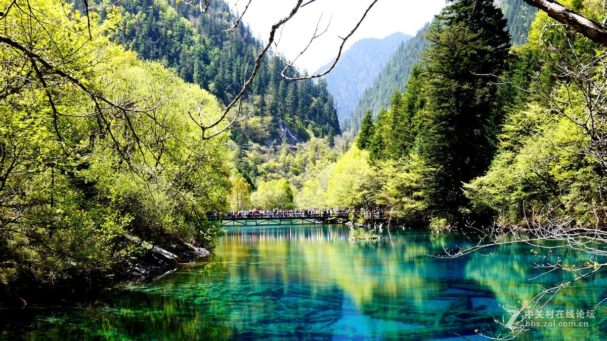 春光明媚九寨沟