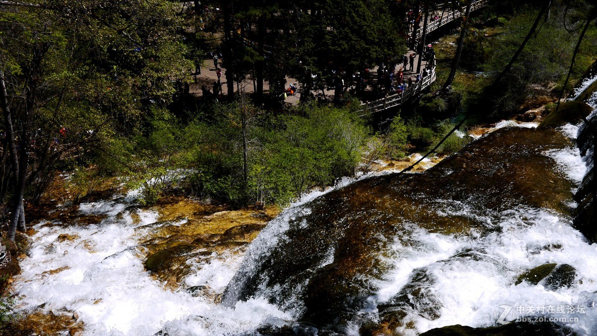 春光明媚九寨沟