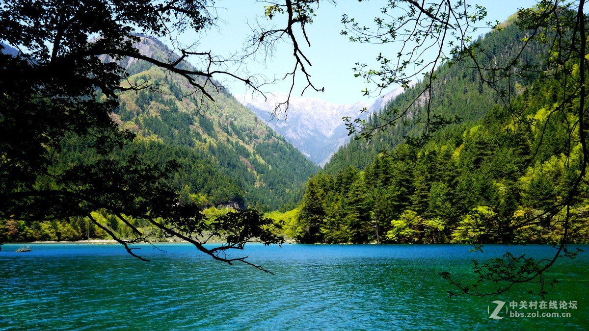 春光明媚九寨沟