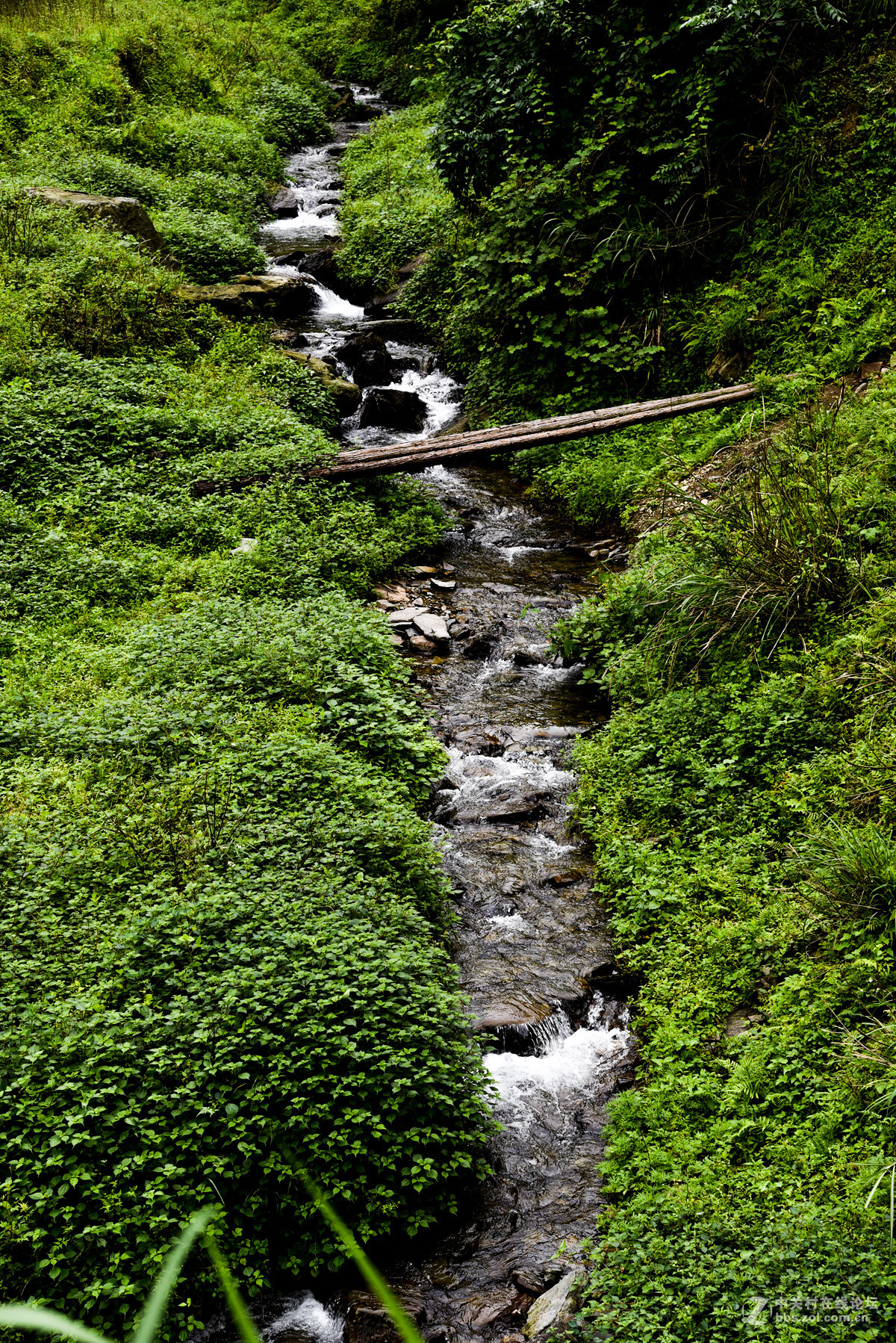 D750…山间小拍