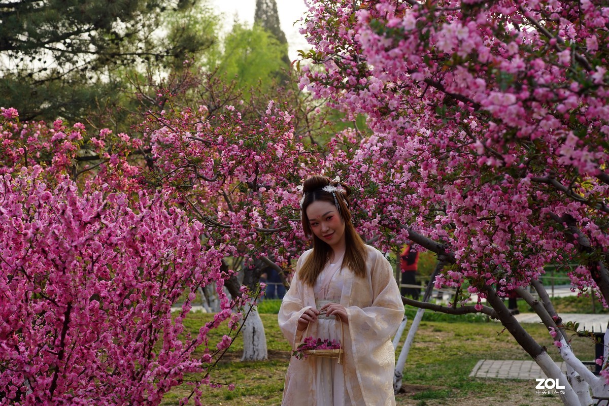 春发绿芽花开艳！