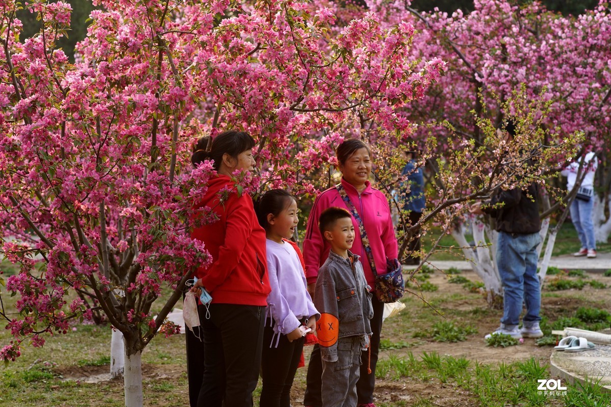 春发绿芽花开艳！
