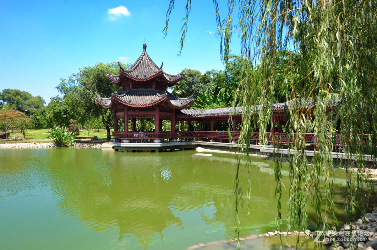 长沙橘子洲美景与伟人艺术雕像-中关村在线摄影论坛