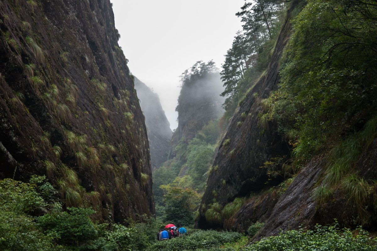 雨天的武夷山