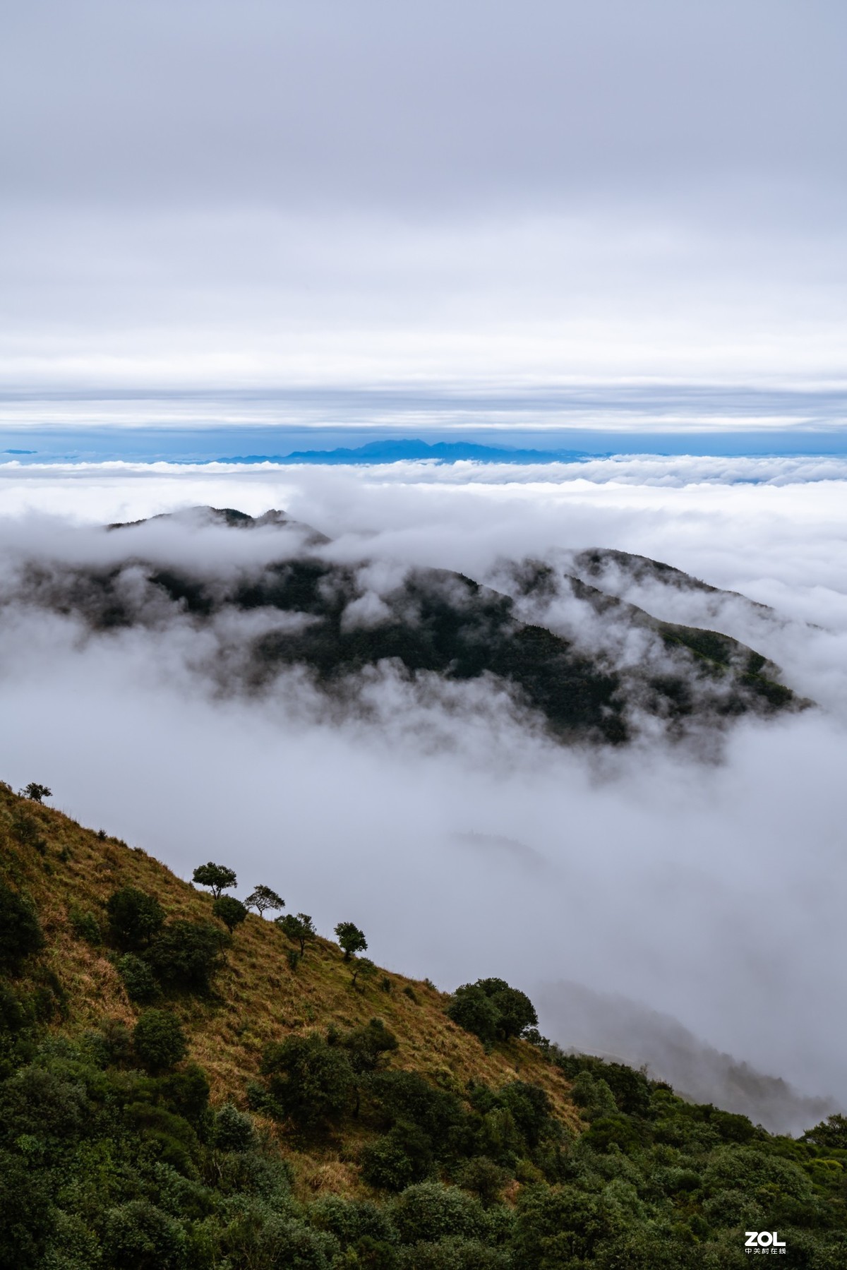 大容山三四月的几场云海