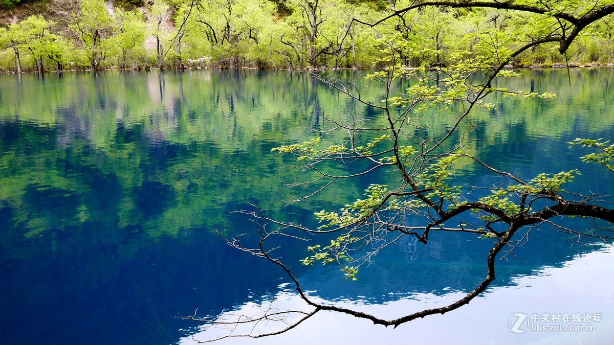 春光明媚九寨沟