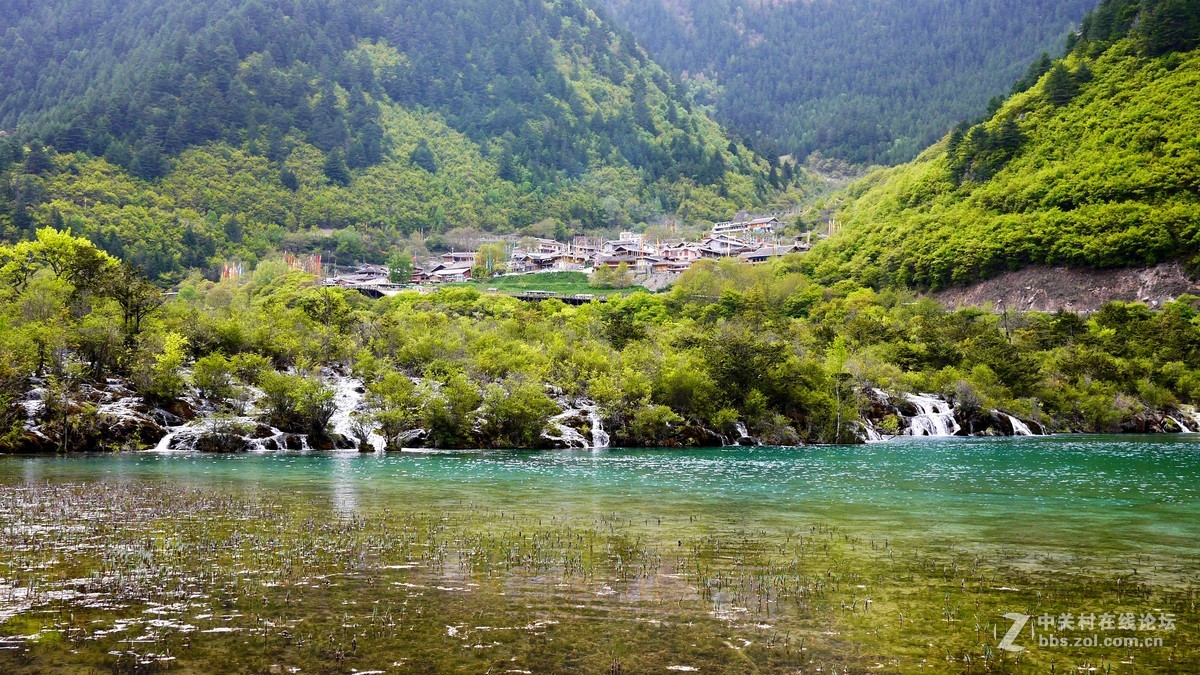 春光明媚九寨沟