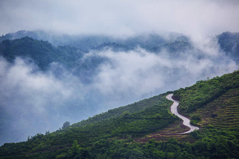 空山新雨后