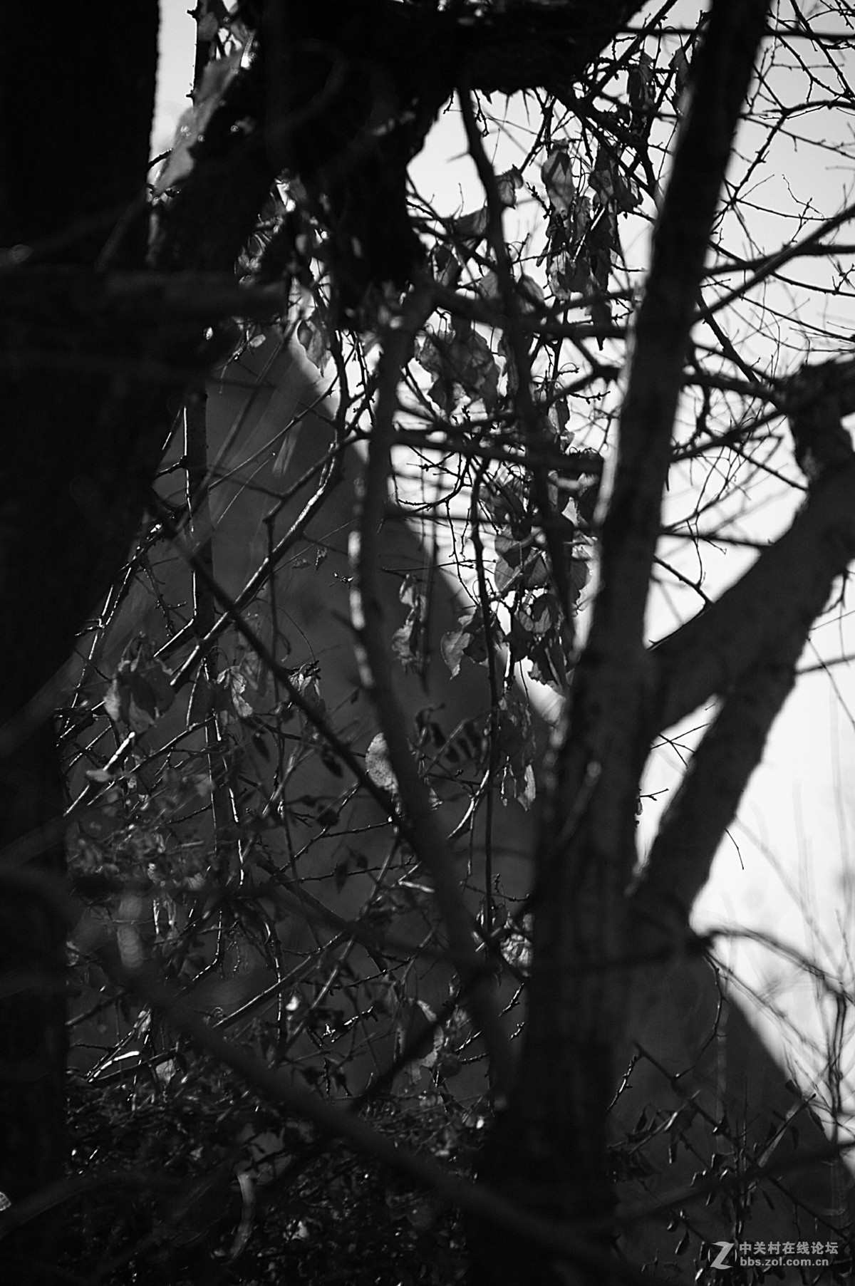 春天又到了，带着相机到村里去