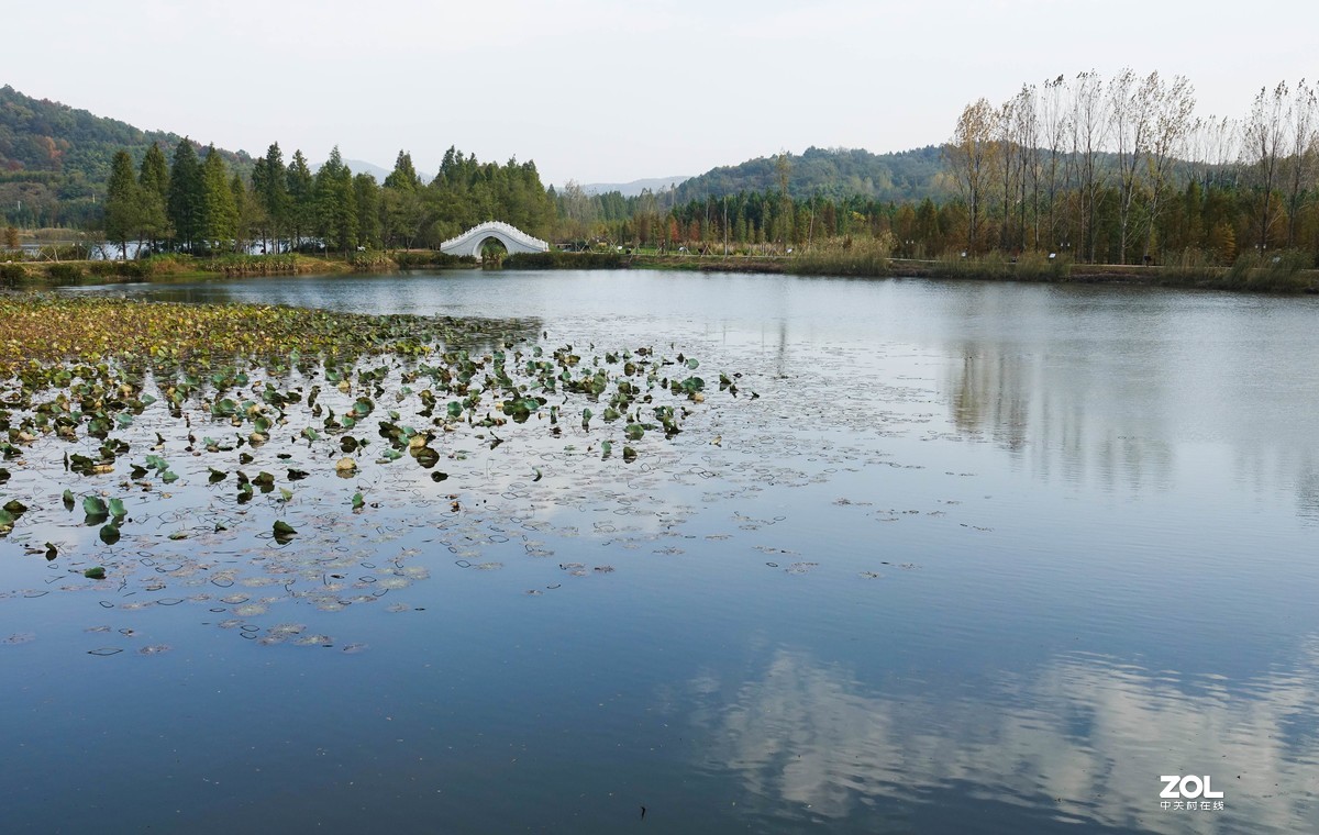 胖卡试机，恳请摄友们批评指导。