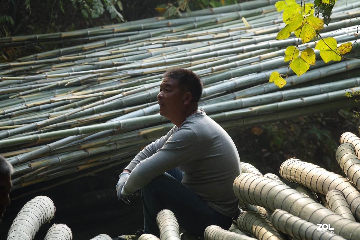 胖卡试机，恳请摄友们批评指导。