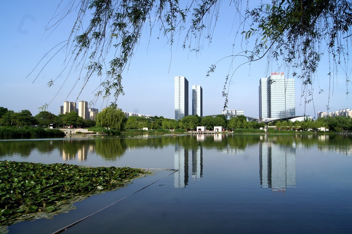 全画幅的天下，半画幅还有一席之地吗？怀念逝去的荣光索尼a450+狗头