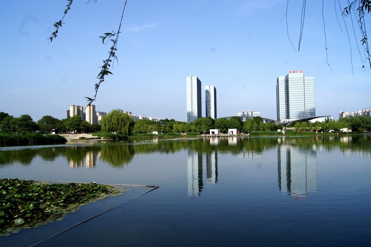 全画幅的天下，半画幅还有一席之地吗？怀念逝去的荣光索尼a450+狗头