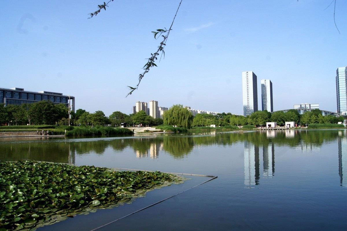 全画幅的天下，半画幅还有一席之地吗？怀念逝去的荣光索尼a450+狗头