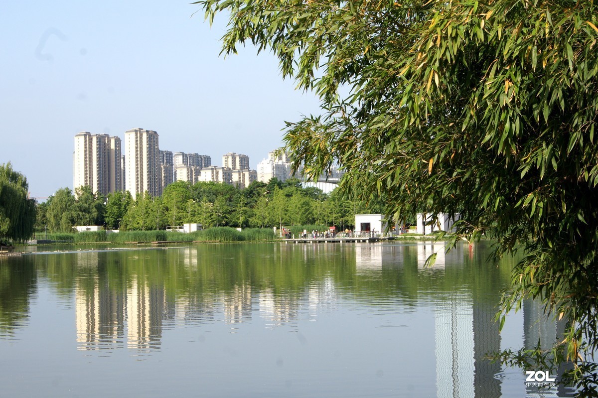 老半画幅索尼a450，老当益壮，发光发热