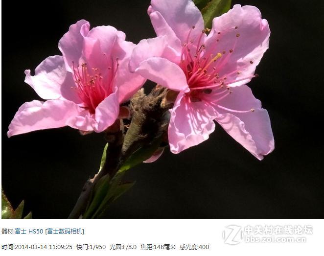 发几张富士HS50的照片