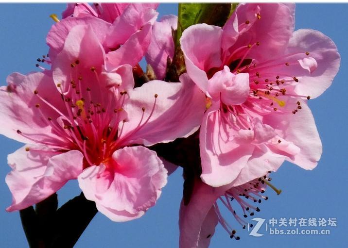 发几张富士HS50的照片