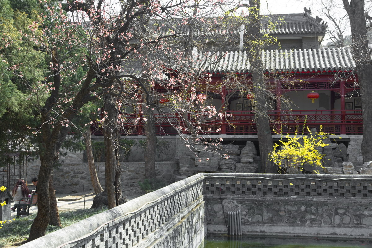 北京大觉寺之春