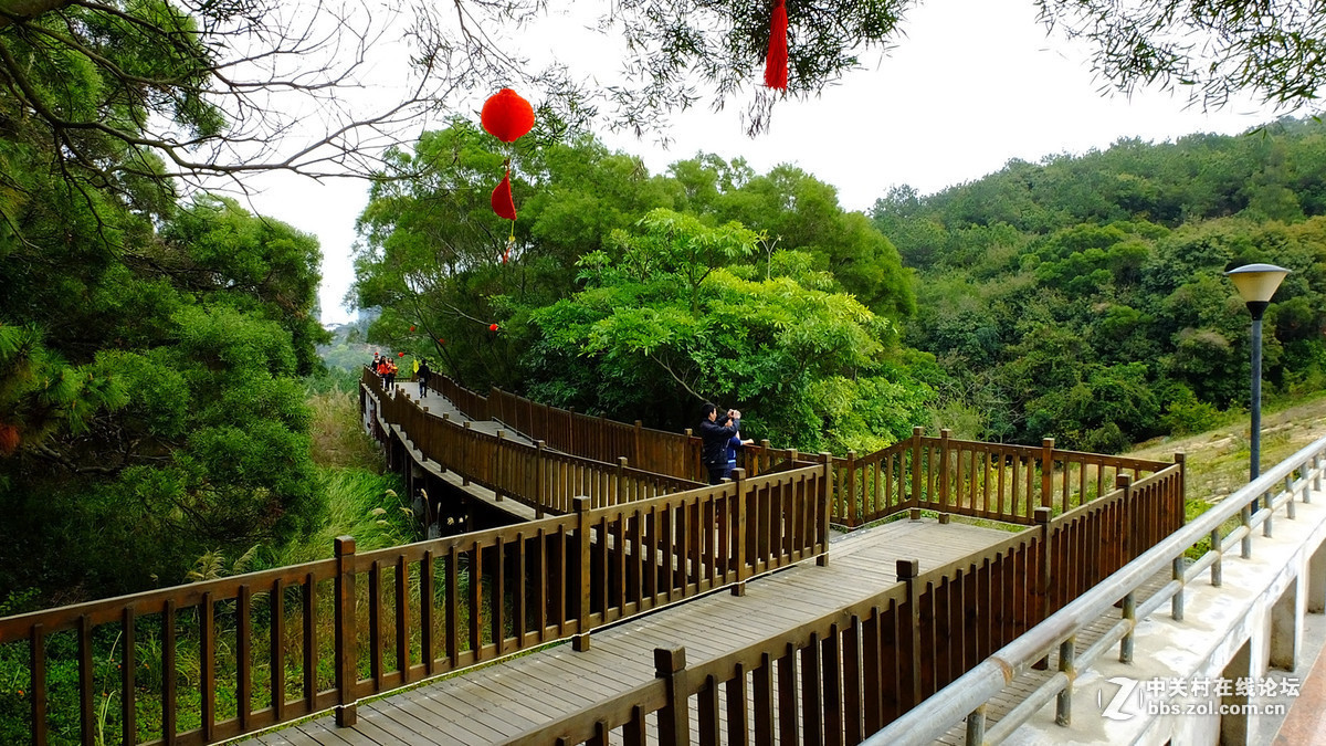 发几张富士HS50的照片