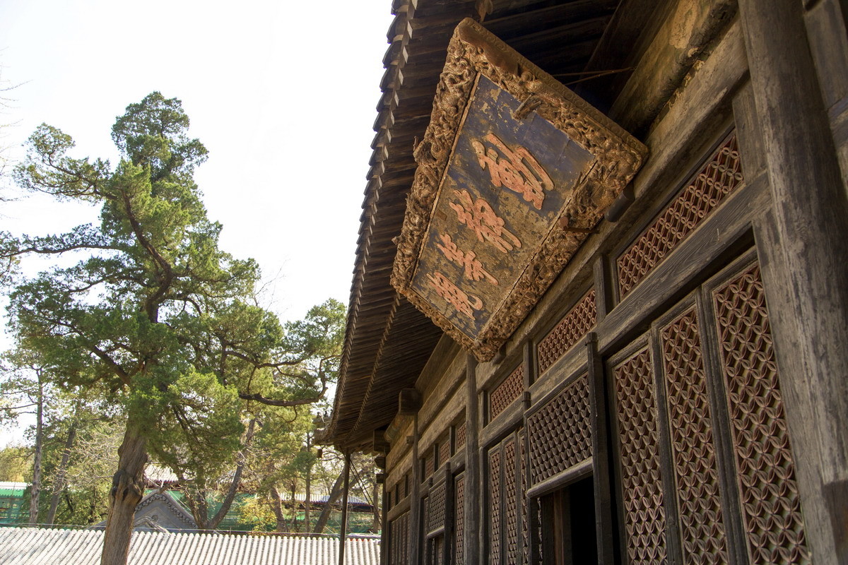 北京大觉寺之春