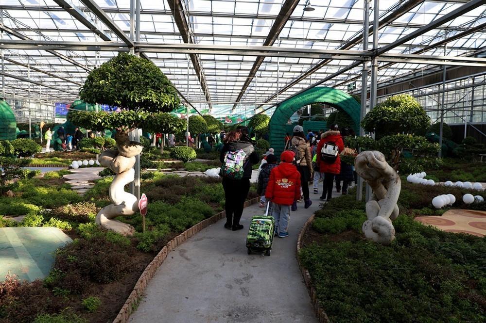 幻城仙境（拍摄于天津滨海生态农业科技园区）—1