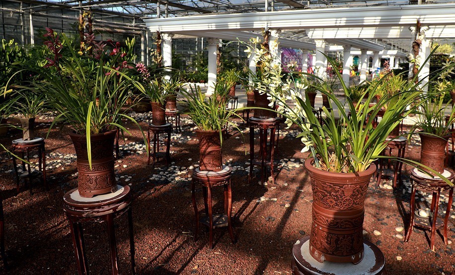 幻城仙境（拍摄于天津滨海生态农业科技园区）—6