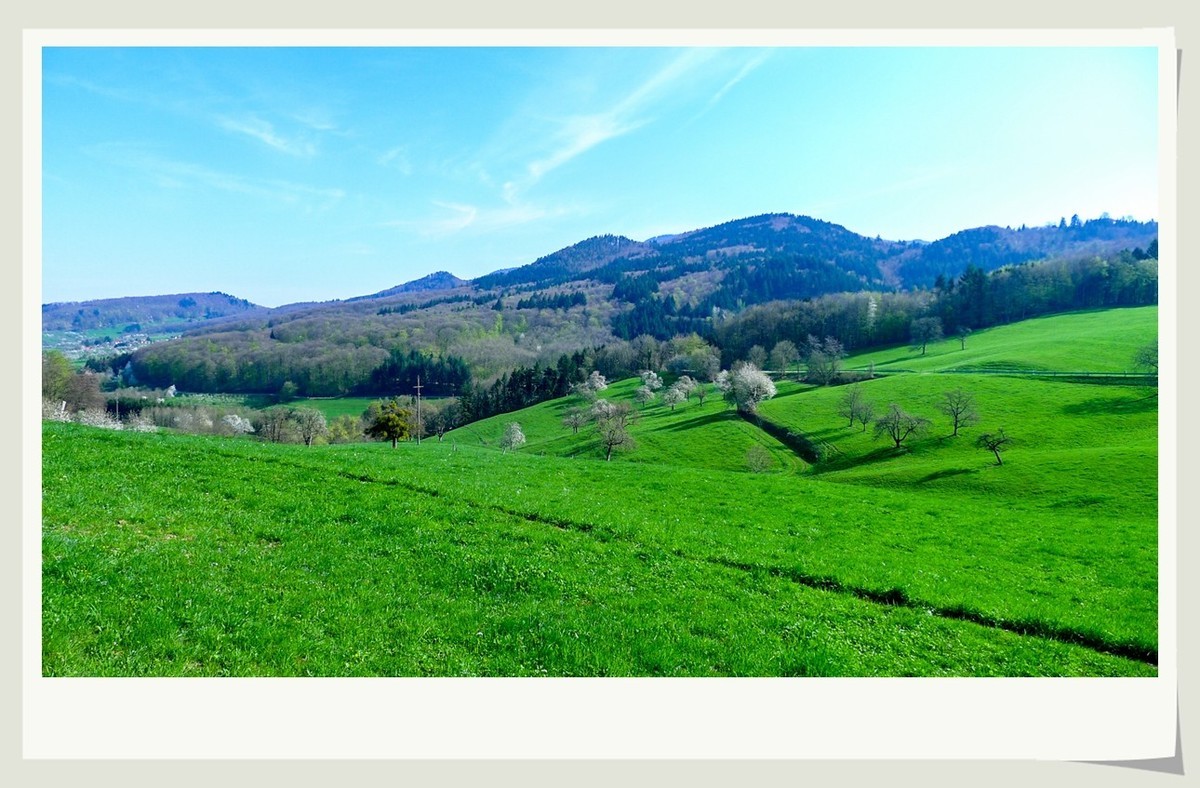 携黑森林春光(南德)拜兄弟星空(中国)--祝师友快乐安康!!!