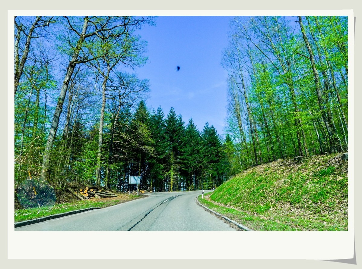 携黑森林春光(南德)拜兄弟星空(中国)--祝师友快乐安康!!!