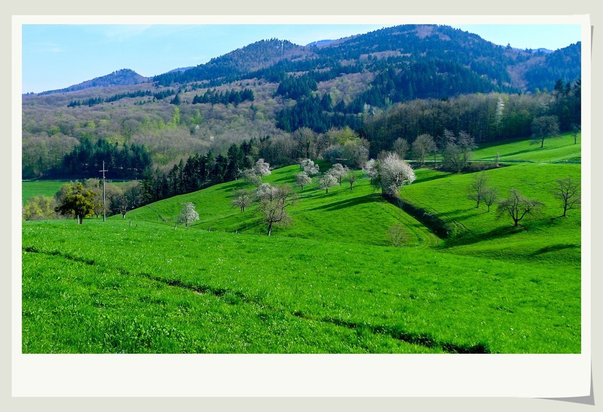携黑森林春光(南德)拜兄弟星空(中国)--祝师友快乐安康!!!