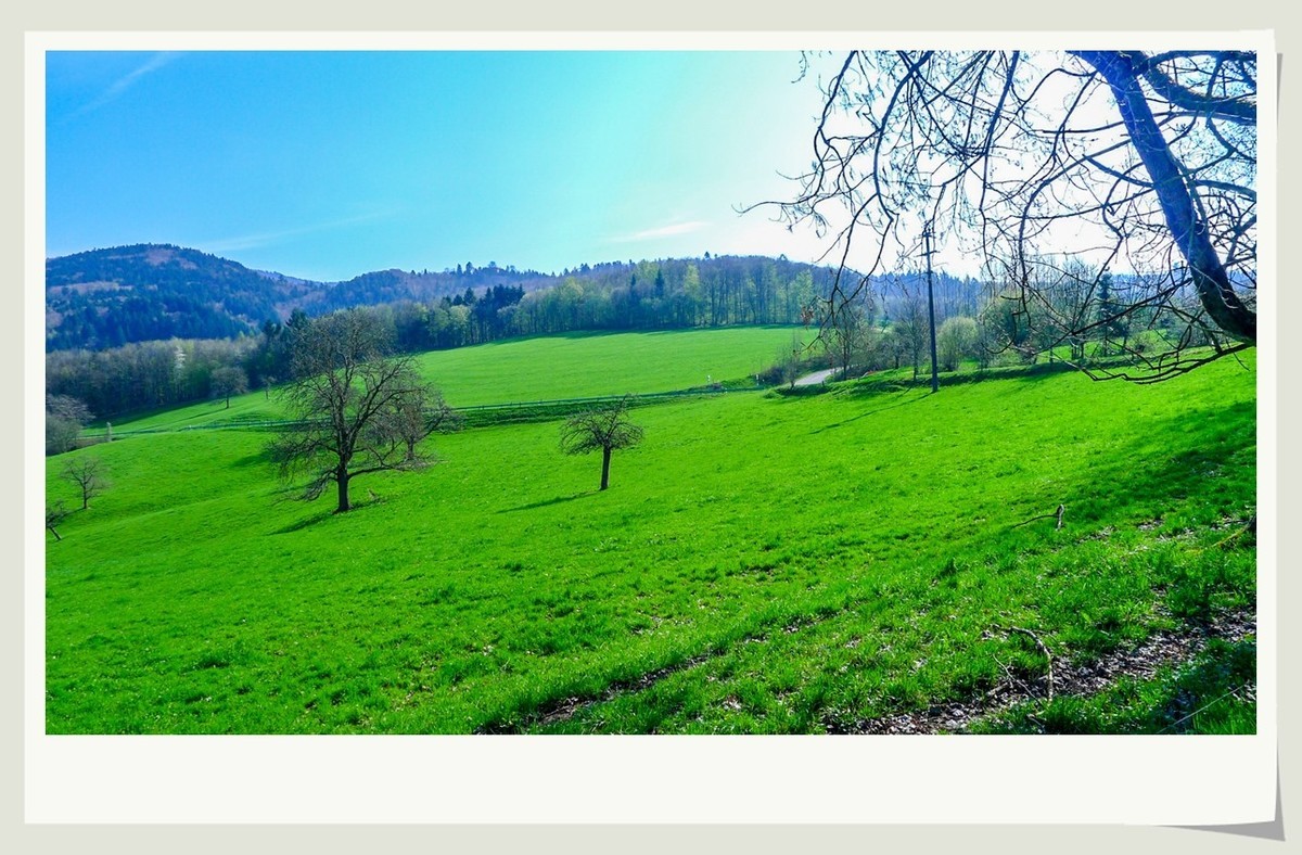 携黑森林春光(南德)拜兄弟星空(中国)--祝师友快乐安康!!!