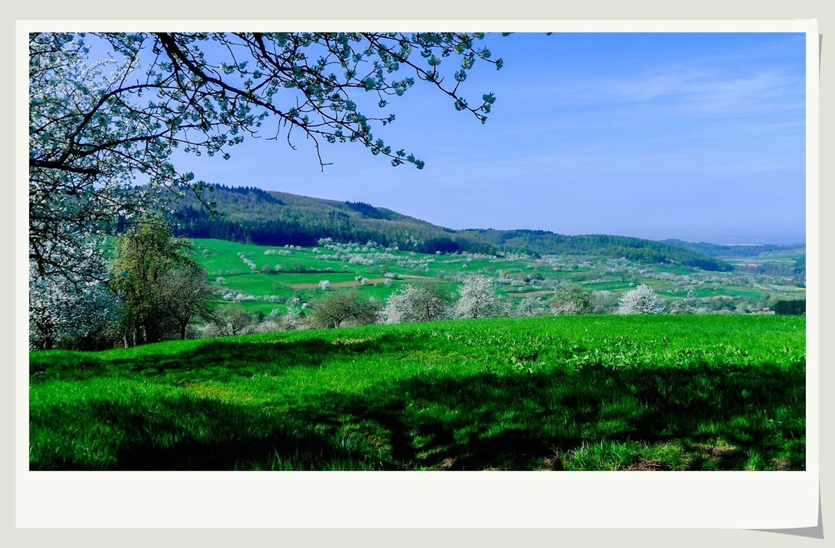 携黑森林春光(南德)拜兄弟星空(中国)--祝师友快乐安康!!!