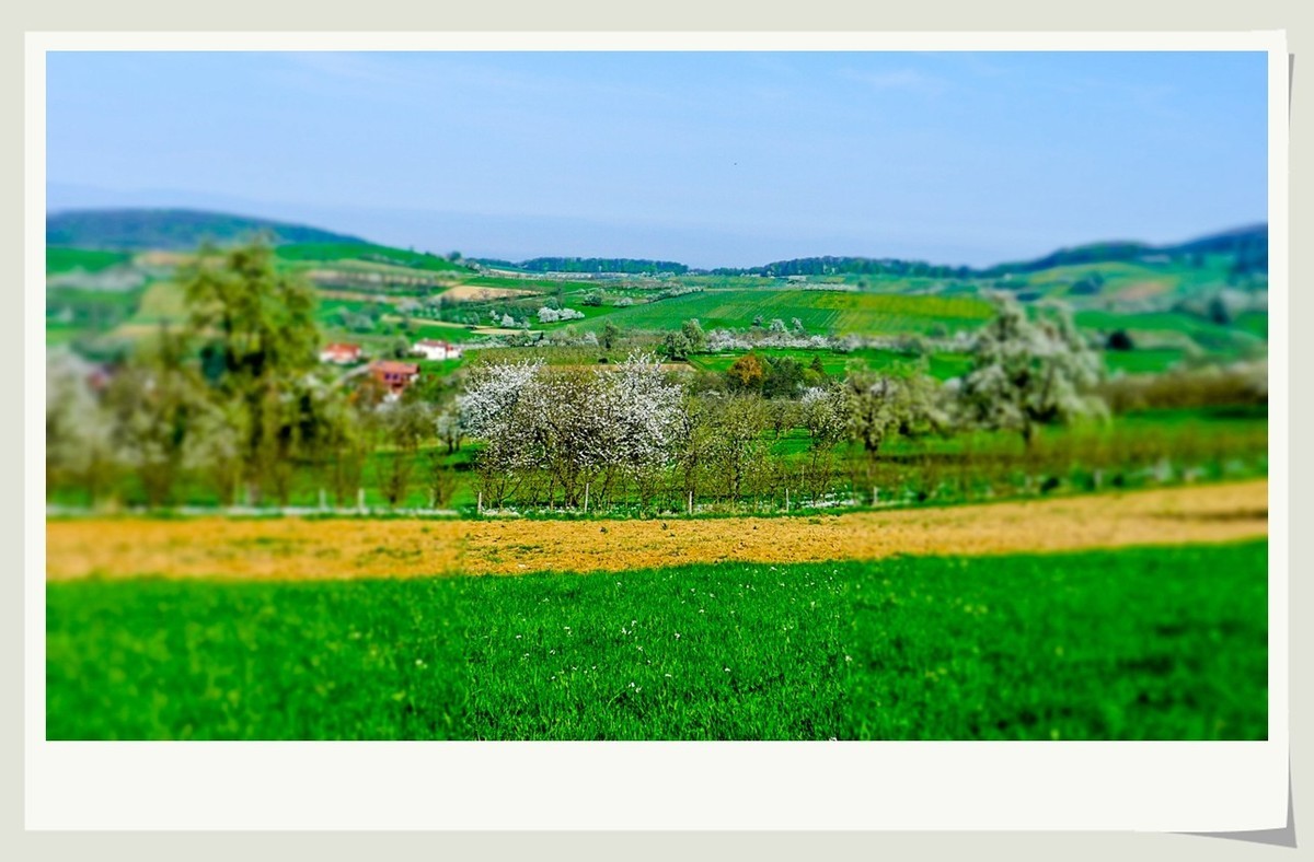 携黑森林春光(南德)拜兄弟星空(中国)--祝师友快乐安康!!!
