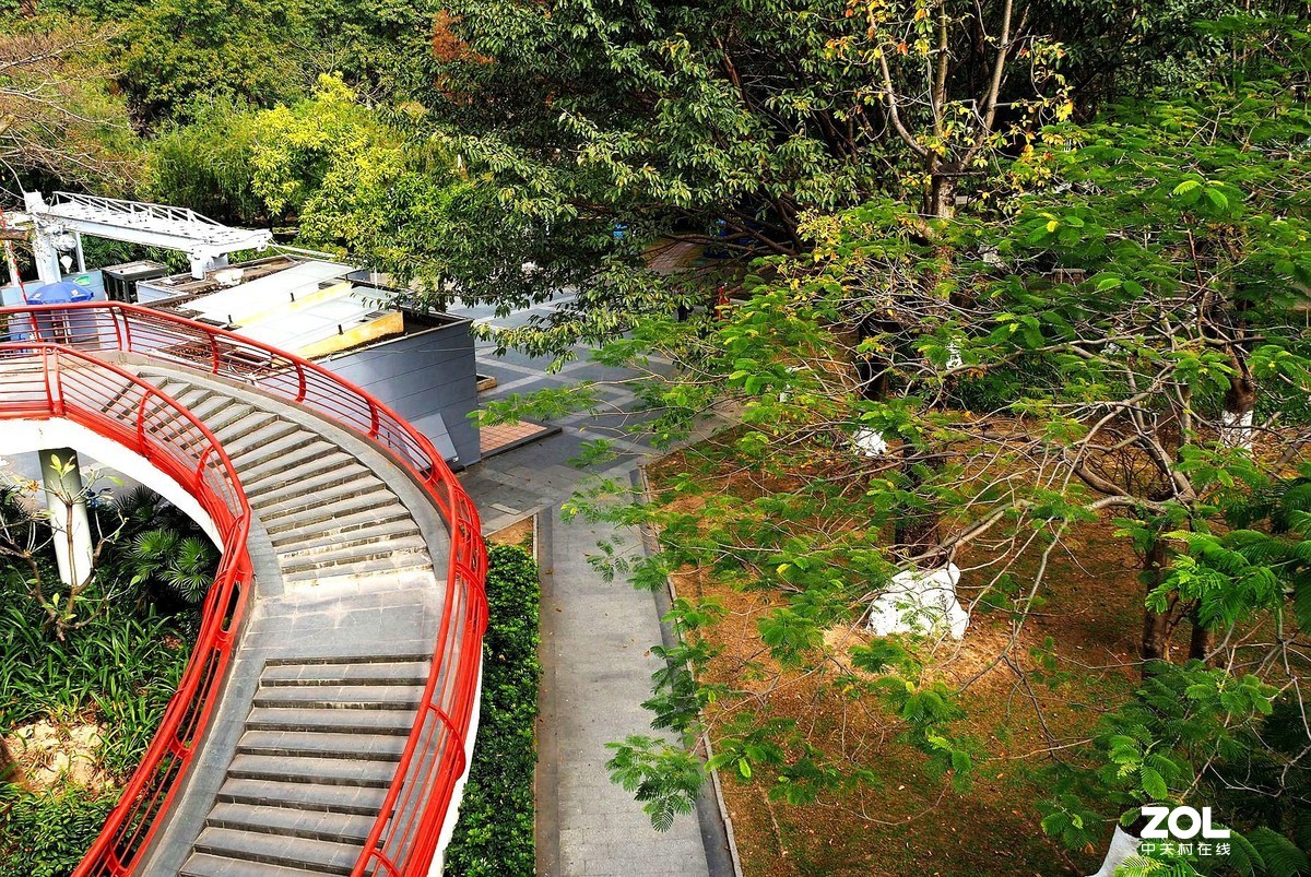 岐江公园游记一