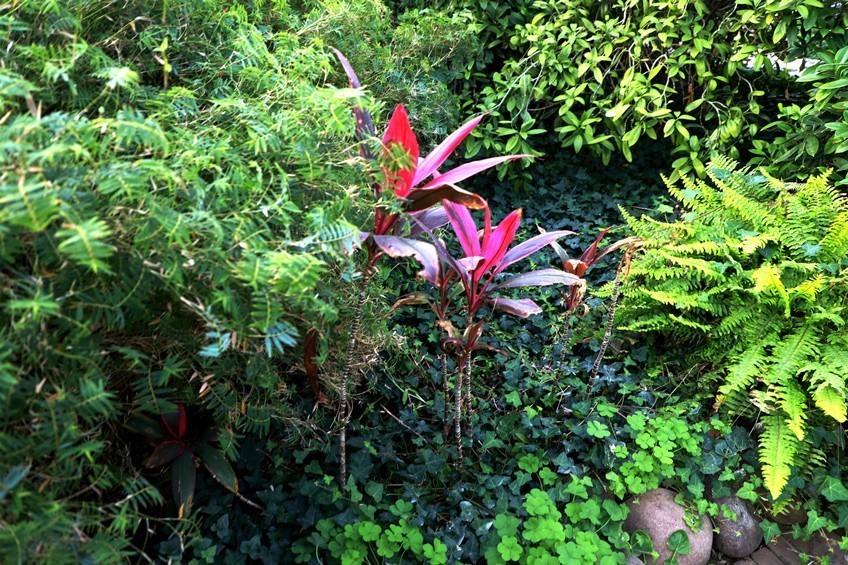 幻城仙境（拍摄于天津滨海生态农业科技园区）—6